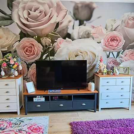 Sweet Garden Residence Brasov Luaran gambar