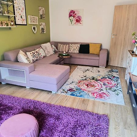 Sweet Garden Residence Brasov Luaran gambar