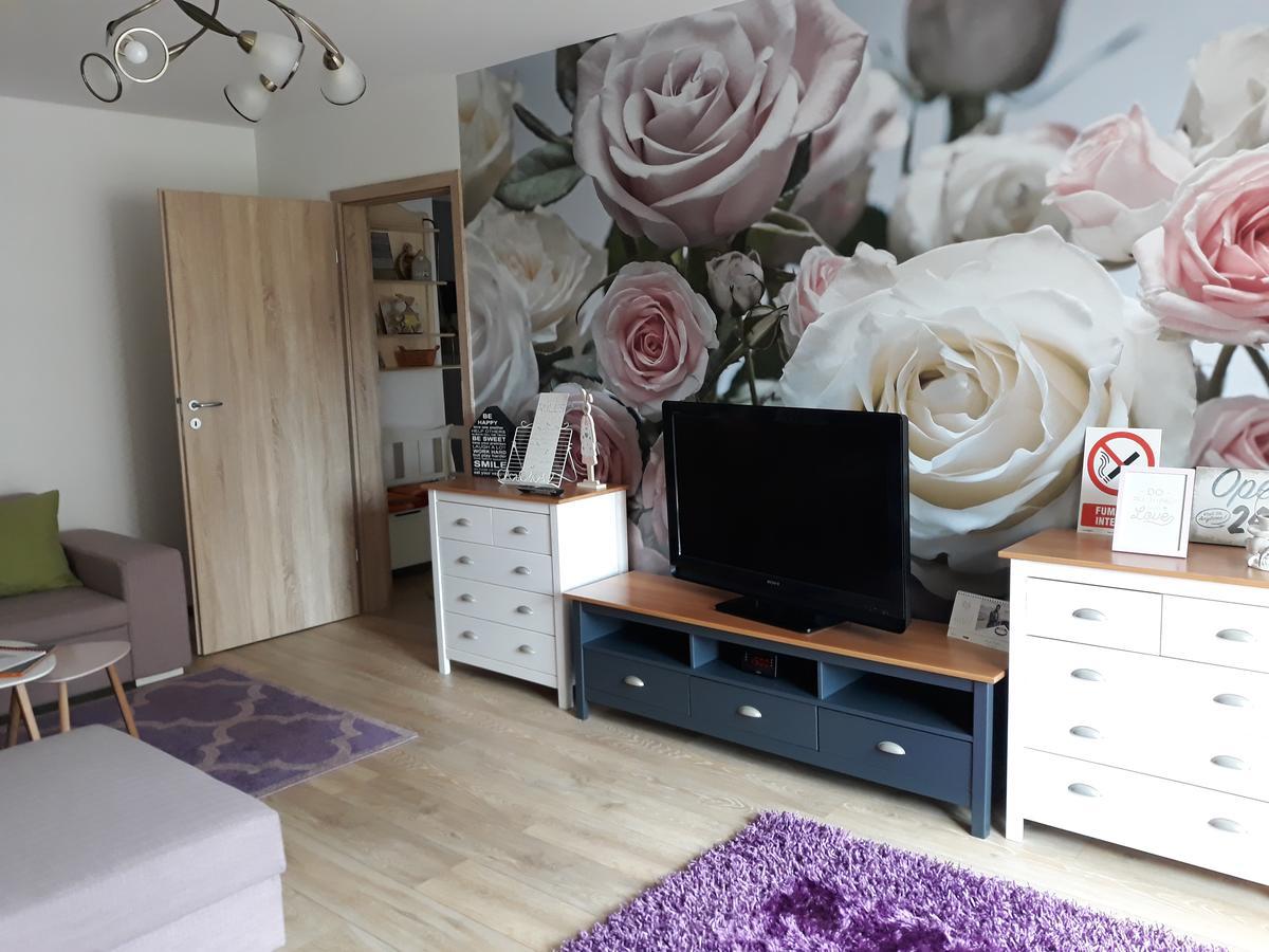 Sweet Garden Residence Brasov Luaran gambar
