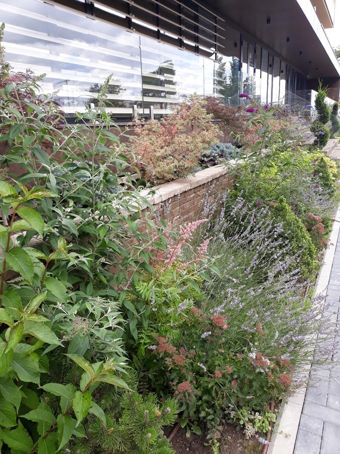 Sweet Garden Residence Brasov Luaran gambar