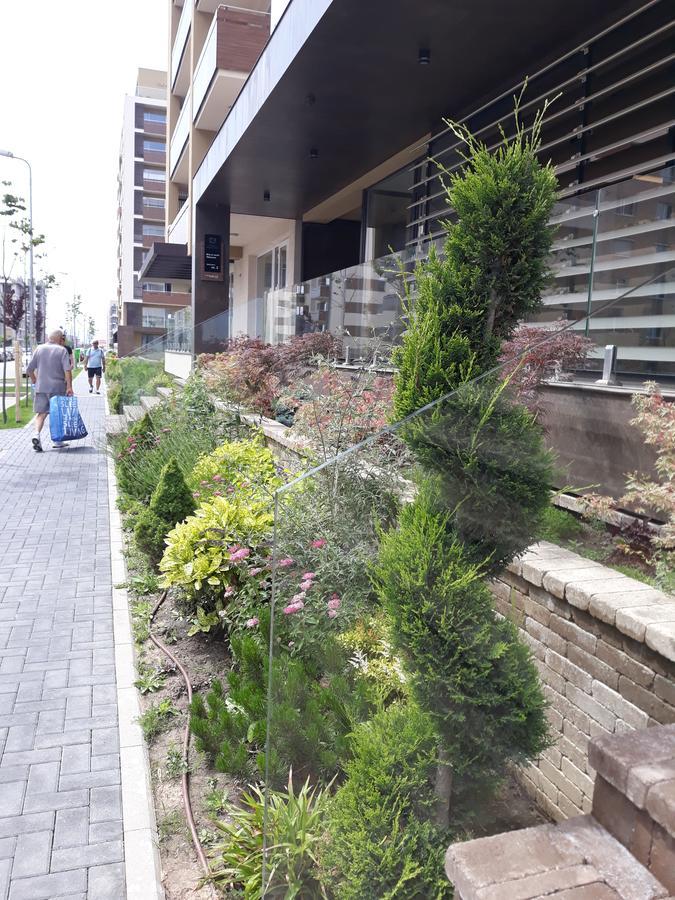 Sweet Garden Residence Brasov Luaran gambar